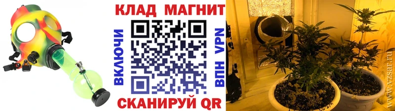 Как найти закладки Приозерск Альфа ПВП  COCAIN  ГАШИШ  Меф  Марихуана 