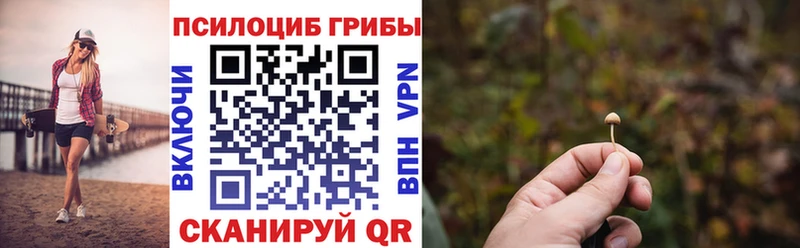 хочу наркоту Приозерск kraken Псилоцибиновые грибы GOLDEN TEACHER