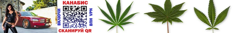 Шишки марихуана SATIVA & INDICA  Приозерск 